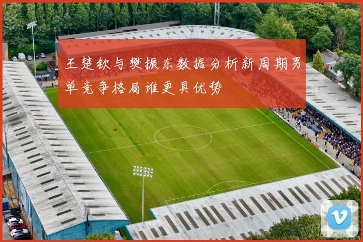 王楚钦与樊振东数据分析新周期男单竞争格局谁更具优势