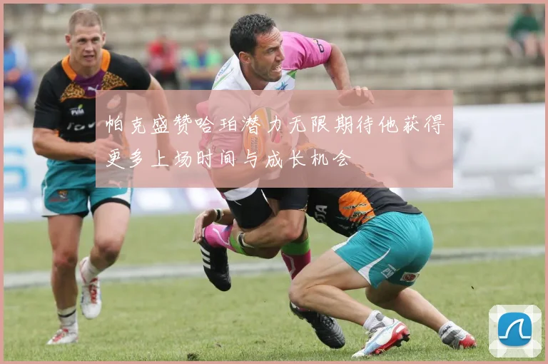 帕克盛赞哈珀潜力无限期待他获得更多上场时间与成长机会